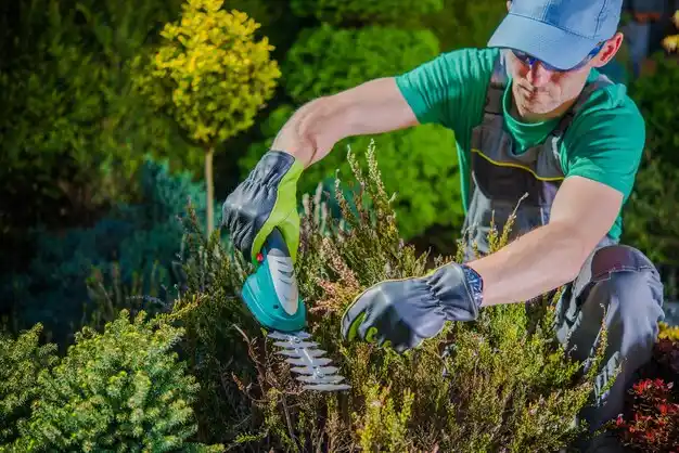 landscaping services Richmond